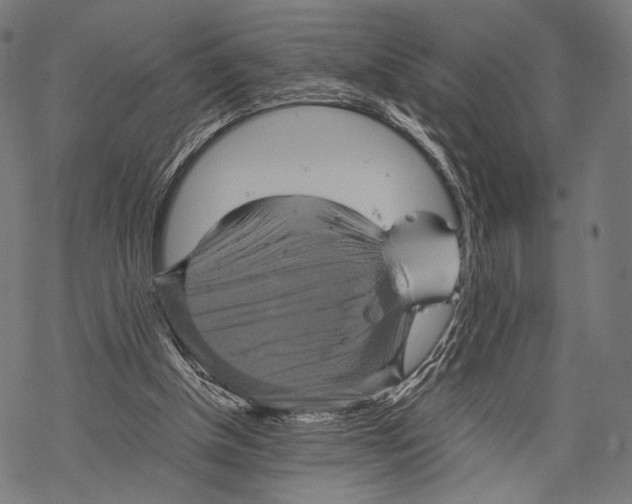 X0000067460154200605051630