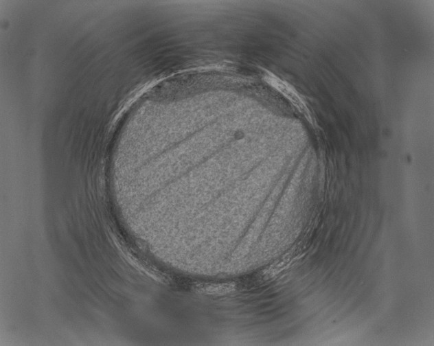 X0000067460155200605051630