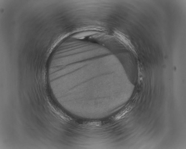 X0000067460156200605051630