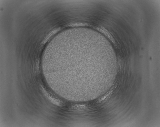 X0000067460159200605051630