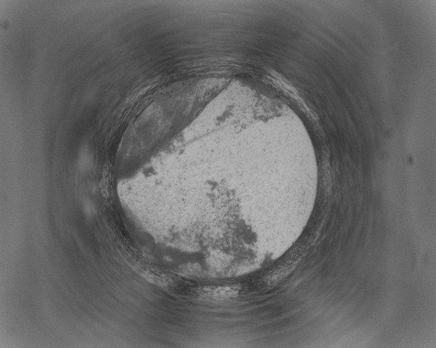 X0000067460161200605051630