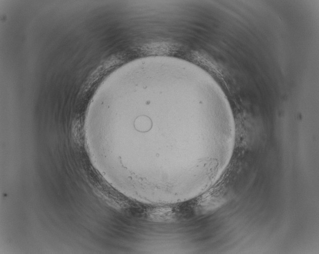 X0000067460162200605051631