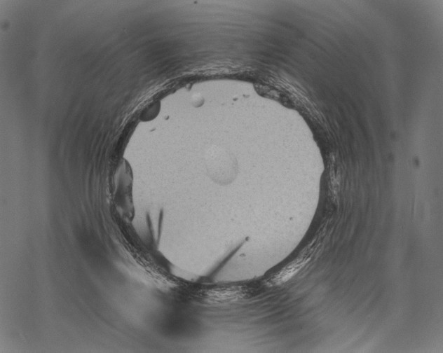 X0000067460164200605051631