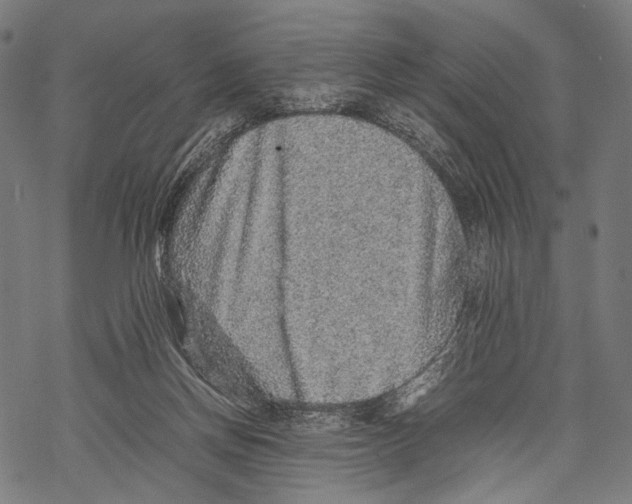 X0000067460166200605051631