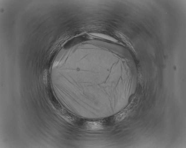 X0000067460167200605051631