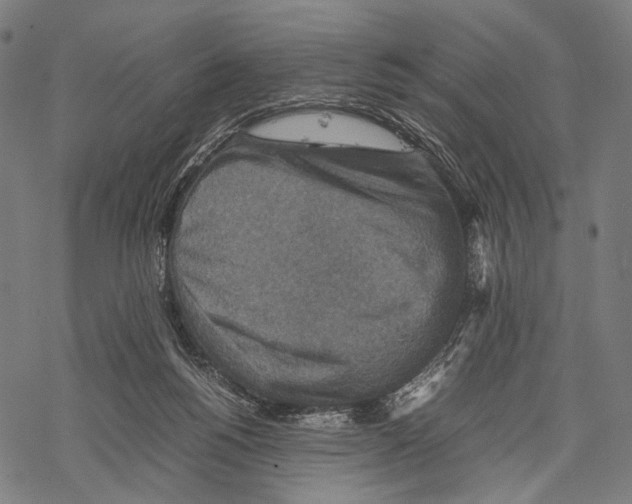 X0000067460168200605051631