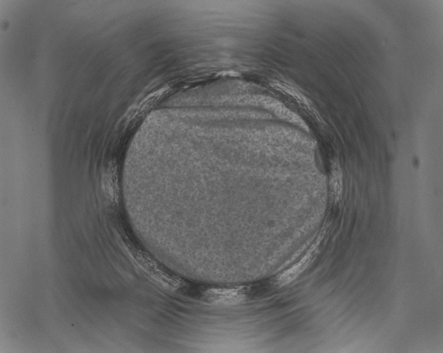 X0000067460170200605051631