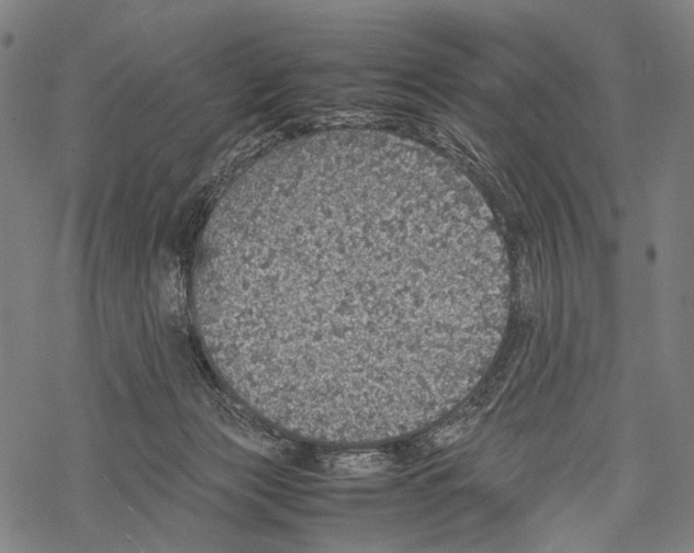 X0000067460173200605051631