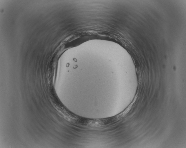 X0000067460174200605051631