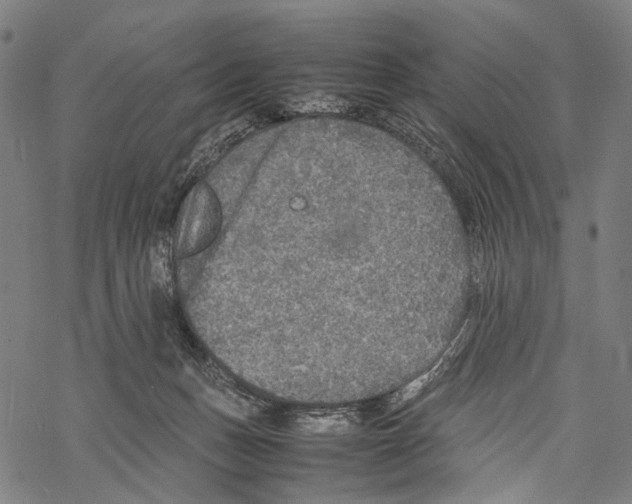 X0000067460175200605051631