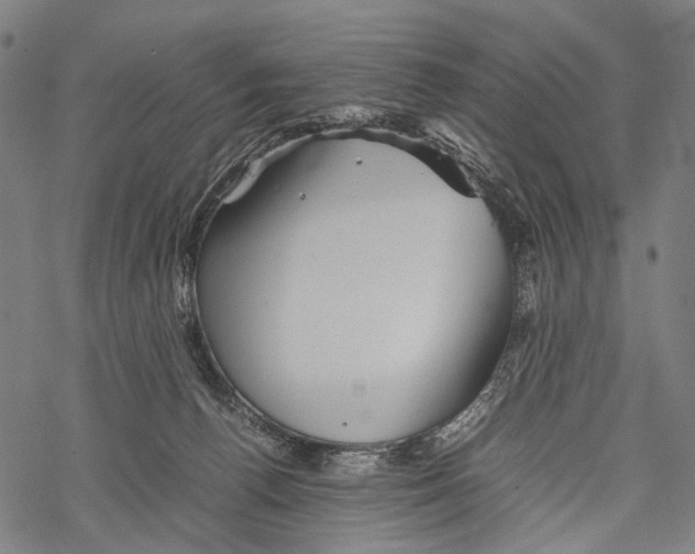 X0000067460176200605051631