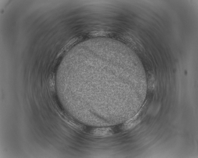 X0000067460179200605051631