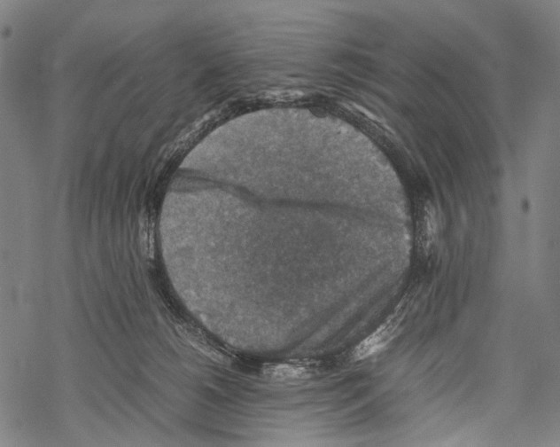 X0000067460180200605051631