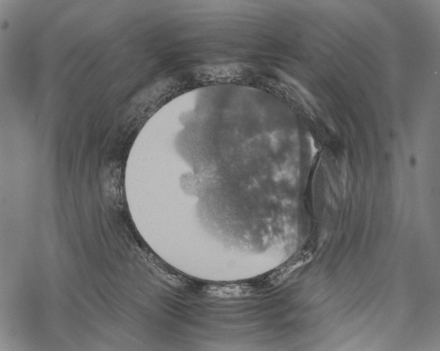 X0000067460181200605051631