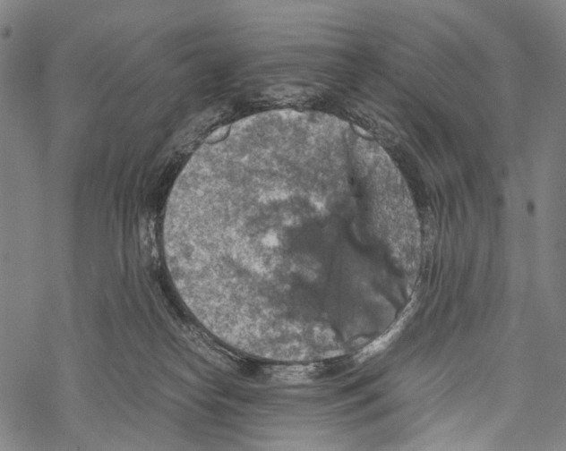 X0000067460182200605051631