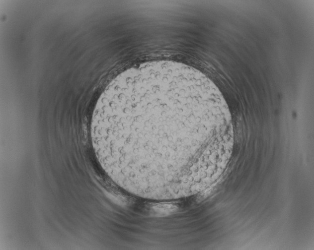 X0000067460183200605051631