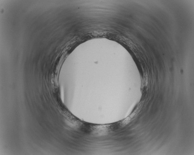 X0000067460184200605051631