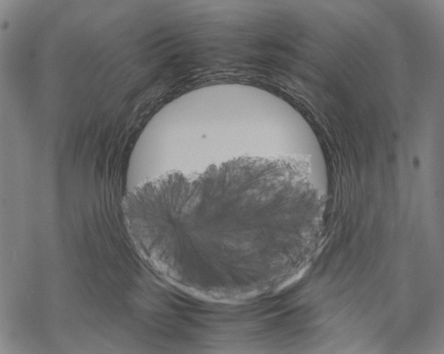 X0000067460185200605051631