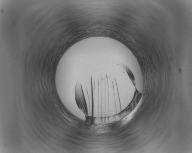 X0000067460186200605051631