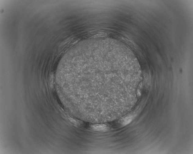 X0000067460189200605051631