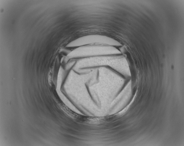 X0000067460190200605051631