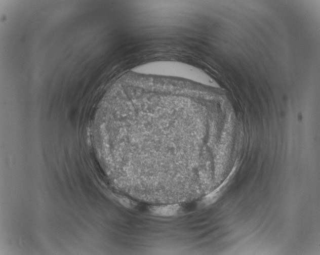 X0000067460191200605051631