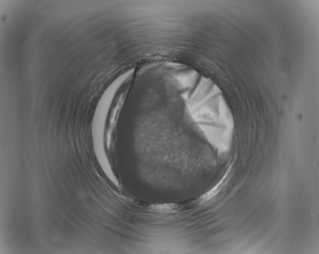 X0000067460192200605051631