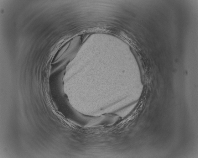 X0000067460193200605051630