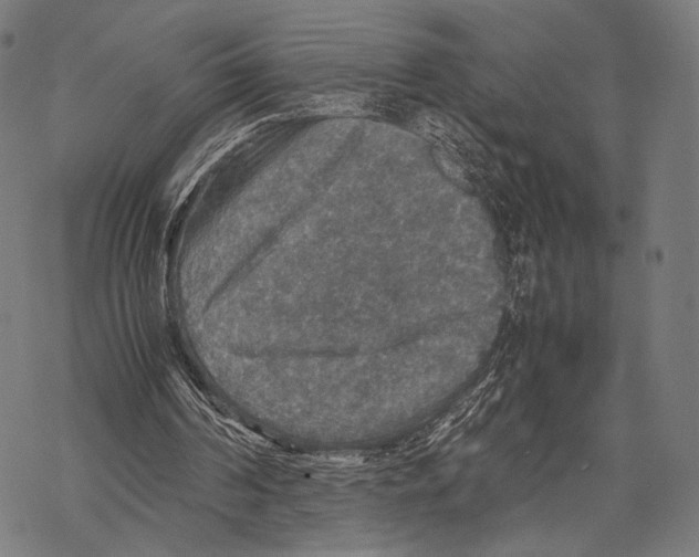 X0000067460194200605051630