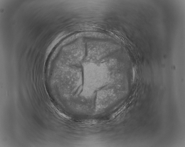 X0000067460195200605051630