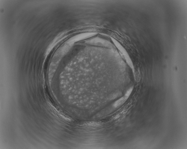 X0000067460198200605051630