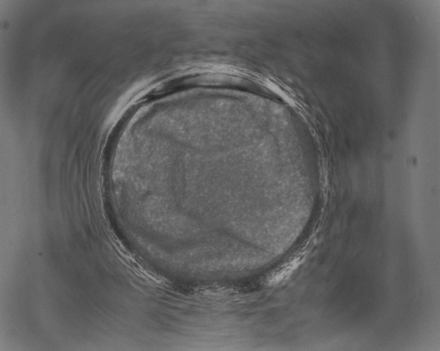 X0000067460199200605051630