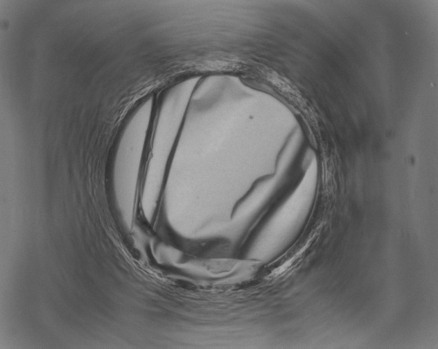 X0000067460201200605051630