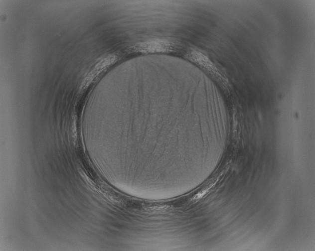 X0000067460202200605051630