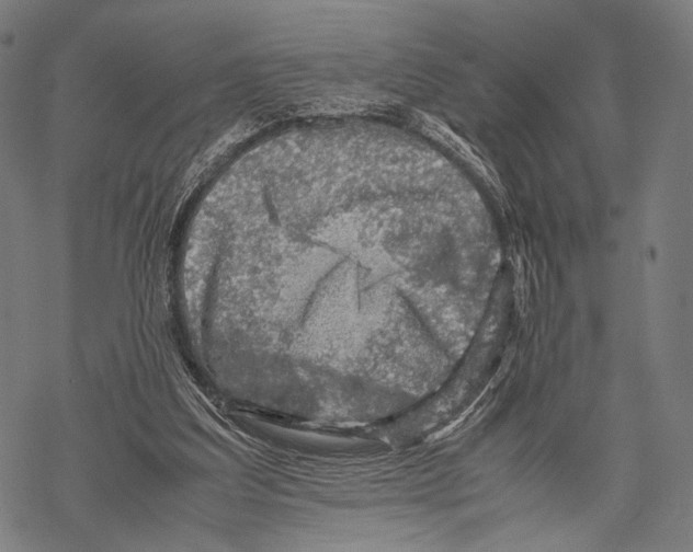 X0000067460203200605051630