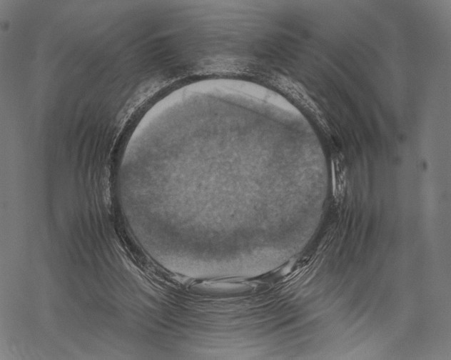 X0000067460204200605051630