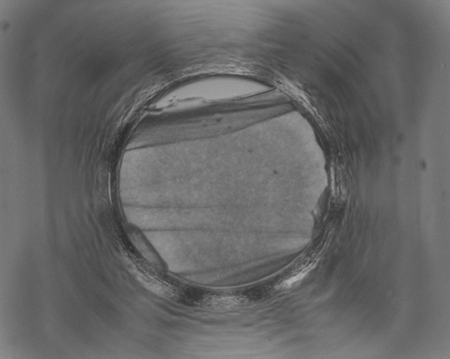 X0000067460205200605051630