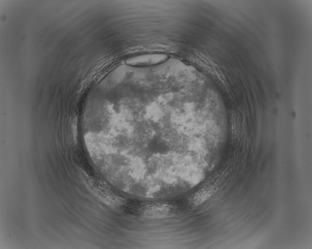 X0000067460206200605051630