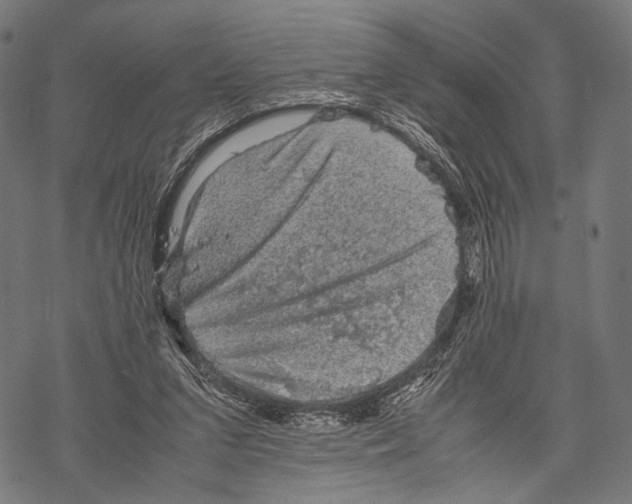 X0000067460207200605051630