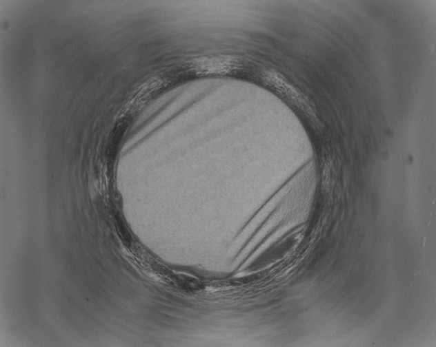 X0000067460209200605051630