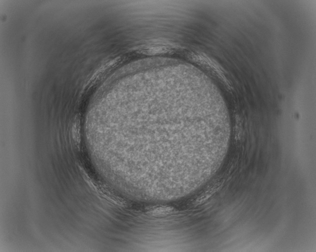 X0000067460210200605051630