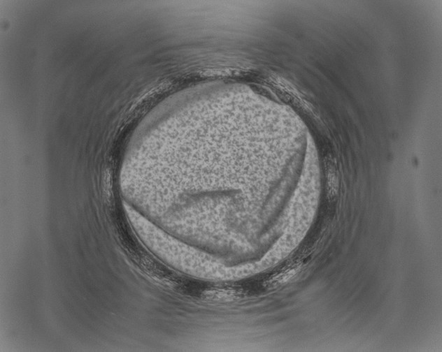 X0000067460211200605051630