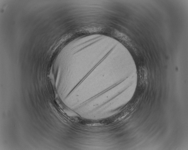 X0000067460212200605051630