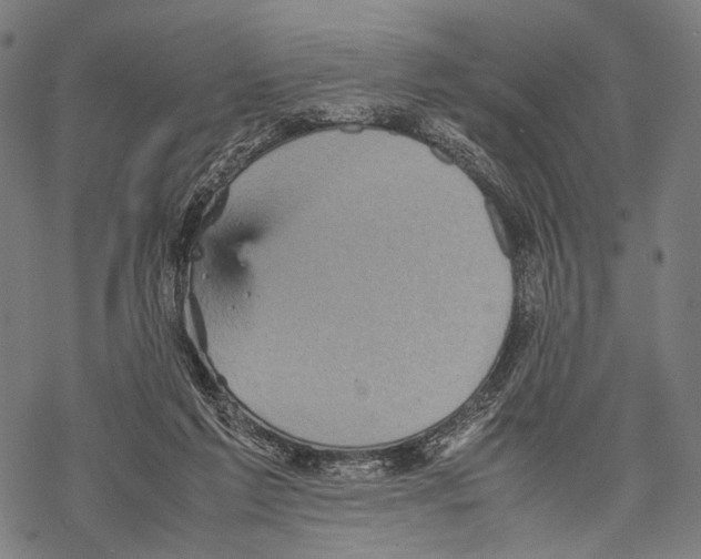 X0000067460213200605051630