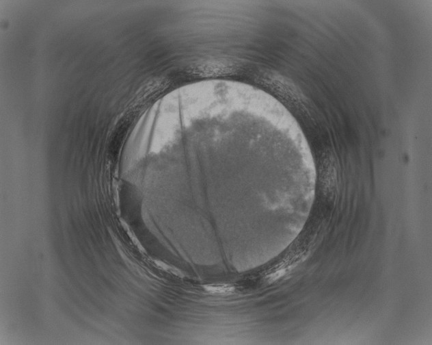 X0000067460214200605051630