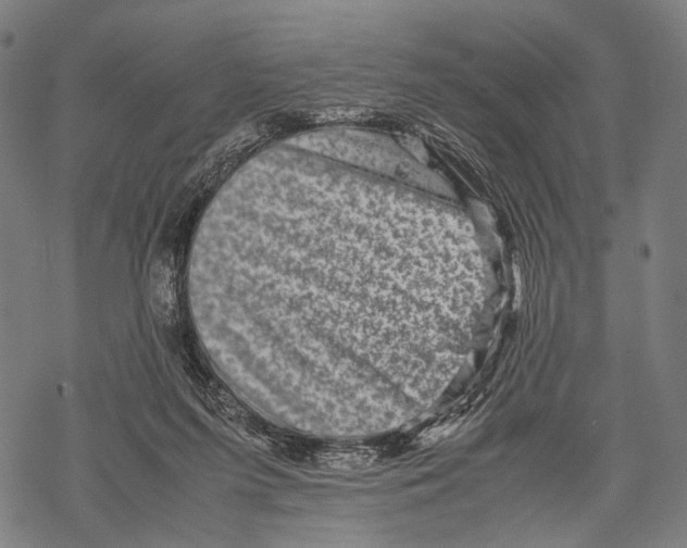 X0000067460215200605051630