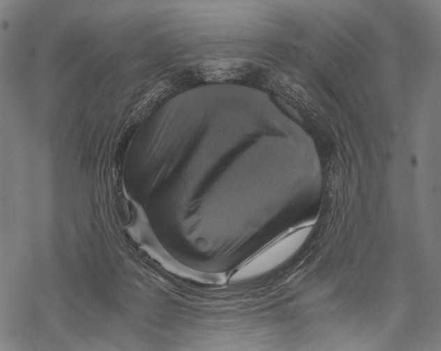 X0000067460219200605051630