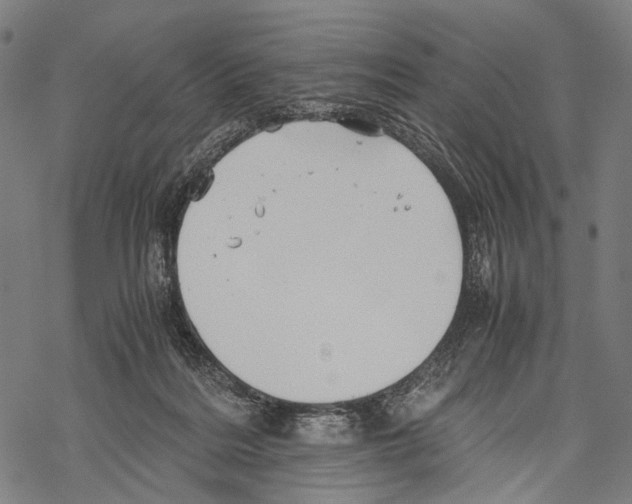 X0000067460220200605051630