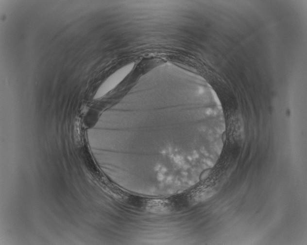 X0000067460222200605051630