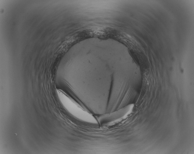 X0000067460223200605051630